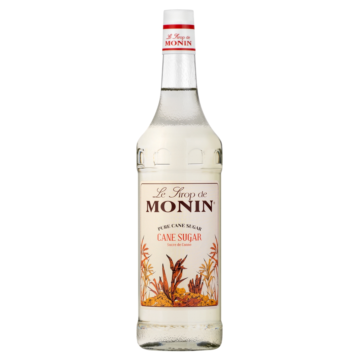SUCRE DE CANNE MONIN
