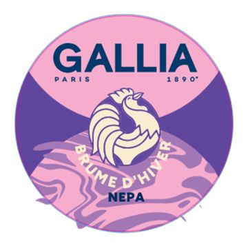 GALLIA - COOLANGATTA HIVER