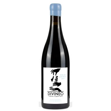 DIVINEO SYRAH DE ROBIAC BIO