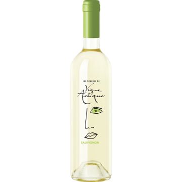 IGP D'OC, SAUVIGNON