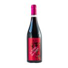 MAS JANINY IGP HERAULT ROUGE BIO