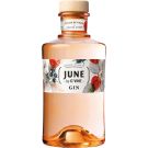 GIN JUNE PECHE