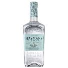 Gin hayman's Old Tom