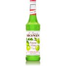 BOUT.MONIN POMME VERTE (SIROP)  X01