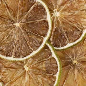 TRANCHES  CITRON VERT SECHEES 150 PIECES