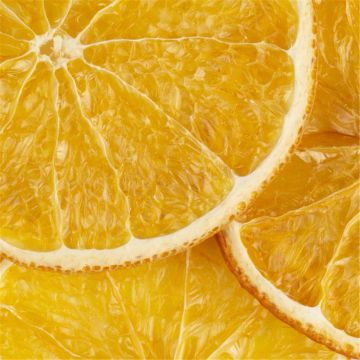TRANCHES ORANGES SECHEES 100 PIECE