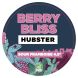 HUBSTER BERRY BLISS SOUR FRAMBOISE