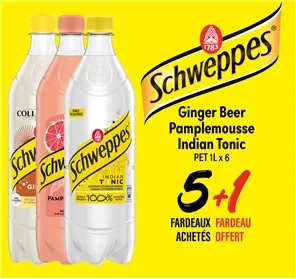5+1 FARDEAU SCHWEPPES 100CL PET