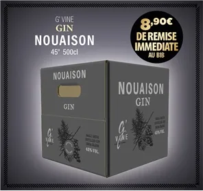 8,90EUROS REMISE SUR BIB GIN G'VINE NOUAISON 5L