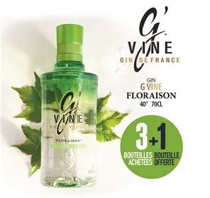 3+1 GIN G VINE FLORAISON