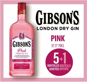 5+1 GIN GIBSONS PINK