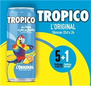 5+1 FARDEAU TROPICO SLIMCAN 33CL X 24 