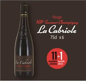 11+1 SAUMUR CHAMPIGNY LA CABRIOLE