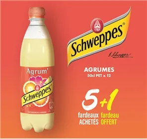 5+1 SCHWEPPES AGRUMES 50cl PET