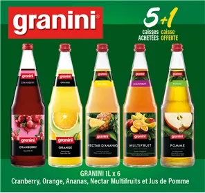 5+1 GRANINI LVC
