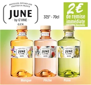 2€ REMISE GINS G VINE MANGUE PECHE ET POIRE