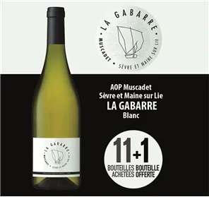 11+1 LA GABARRE MUSCADET 