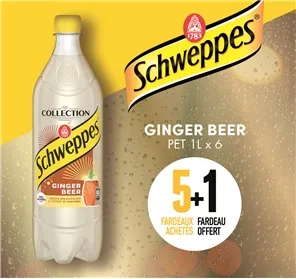 5+1 FARDEAU SCHWEPPES GINGER BEER 100CL PET