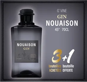 3+1  GIN NOUAISON 70CL