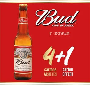 4+1 BUD 33CL VP 5°
