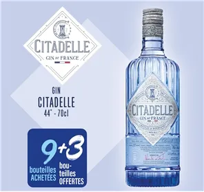 9+3 GIN CITADELLE 70CL