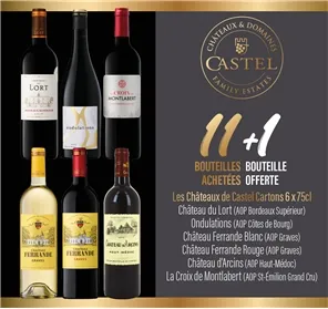 11+1 SUR LES CHÂTEAUX DE CASTEL
