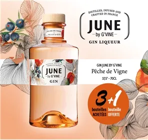 3+1 GIN JUNE PÊCHE