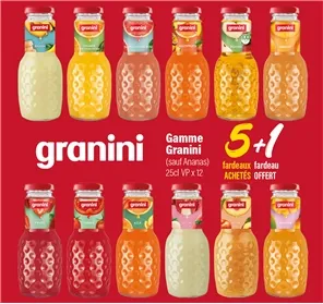 5+1 JUS DE FRUITS GRANINI 25CL VP