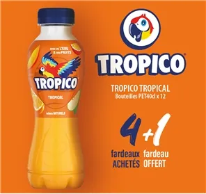 4+1 TROPICO TROPICAL PET 40cl X 12