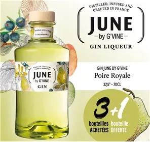 3+1 GIN JUNE POIRE 