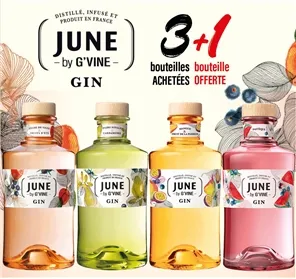 3+1 SUR LES GINS JUNE BY G'VINE