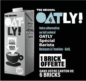 5+1 BRICK OATLY 