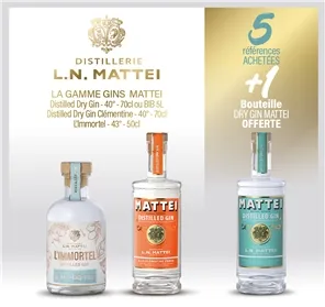 5+1 GIN MATTEI 