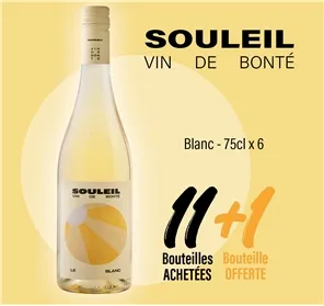 11+1 SOULEIL BLANC