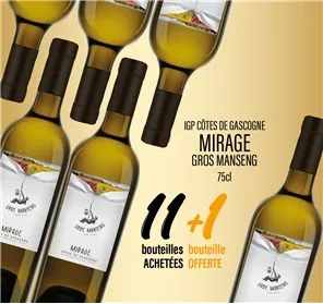 11+1 IGP GASCOGNE MIRAGE GROS MANSENG