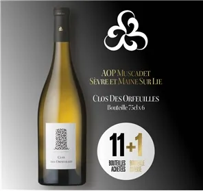 11+1 CLOS DES ORFEUILLES 