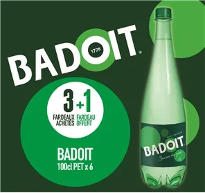 3+1 BADOIT VERTE 100CL PET X 6