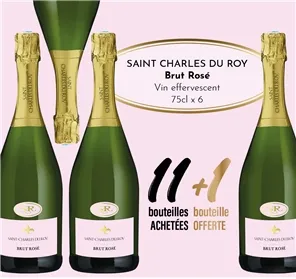 11+1 ST CHARLES DU ROY ROSE