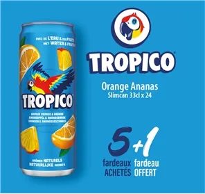 5+1 FARDEAU TROPICO ORANGE ANANAS SLIMCAN 33CL X 24 