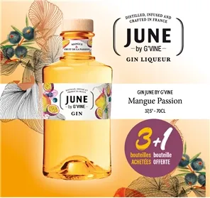 3+1 GIN JUNE MANGUE PASSION