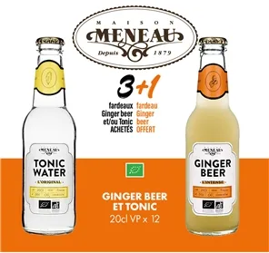 3+1 MENEAU GINGER BEER ET TONIC 20CL