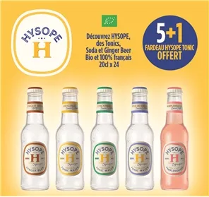5+1 HYSOPE 20CL 
