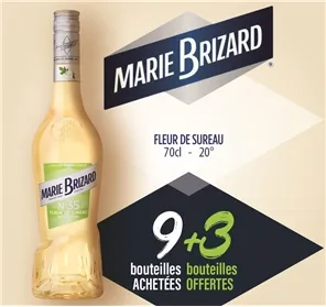 9+3 SUR MARIE  BRIZARD FLEUR DE SUREAU 70CL