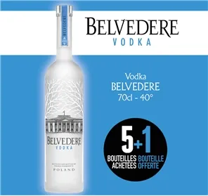 5+1 VODKA BELVEDERE