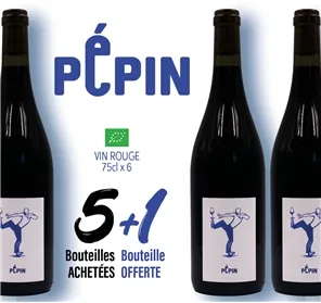 5+1 VIN PEPIN ROUGE BIO 75CL