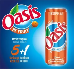 5+1 OASIS TROPICAL SLIMCAN 33CL