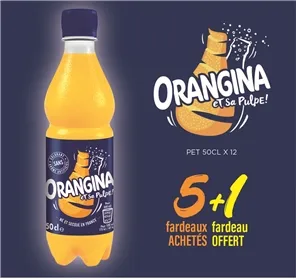 5+1 FARDEAU ORANGINA 50CL PET