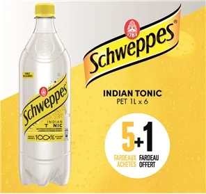 5+1 FARDEAU SCHWEPPES INDIAN TONIC 100CL PET