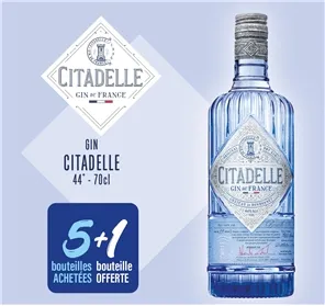 5+1 GIN CITADELLE 70CL