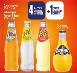 1 ORANGINA  25CL VC OFFERT
